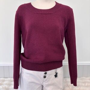 Women's Plum Sweater